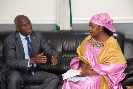 Hon Minister of Power Works  Housing Mr Babatunde Fashola SANleft and Minister of Energy Republic of Niger Hon Amina Moumouniright  during a courtesy visit to the Hon Ministers Office to discuss issues relating Republic of Nigers Power Sector  at the Ministry of Power Works  Housing Headquarters Mabushi Abuja on Tuesday 3rd October 2017 