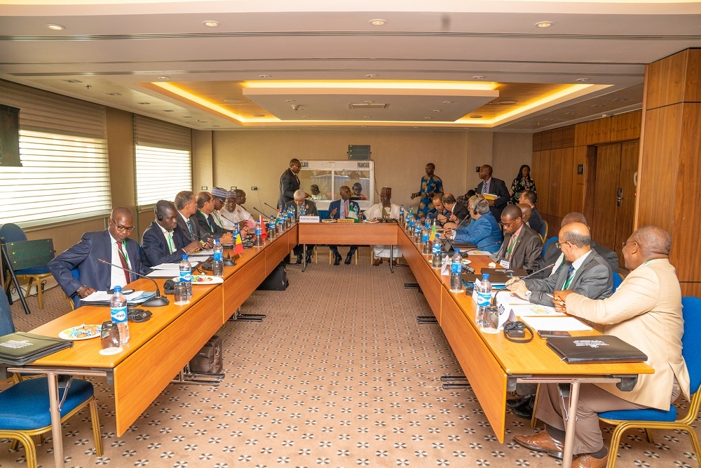 Hon  Minister of Works   Housing  Mr Babatunde Fashola SAN 9th left   Minister of State in the Ministry  Engr  Abubakar Aliyu  9th right   Secretary General  Trans Saharan Road Liasion Committee  Mr Mohammed Ayadi 8th left    other Ministers and Delegates from Member Countries   during the Ministerial Meeting of the 70th Session of the Trans Saharan Road Liaison  Committee  TRLC  hosted by the Federal Ministry of Works   Housing at the Transcorp Hilton Hotel Abuja on Monday  11th November 2019 